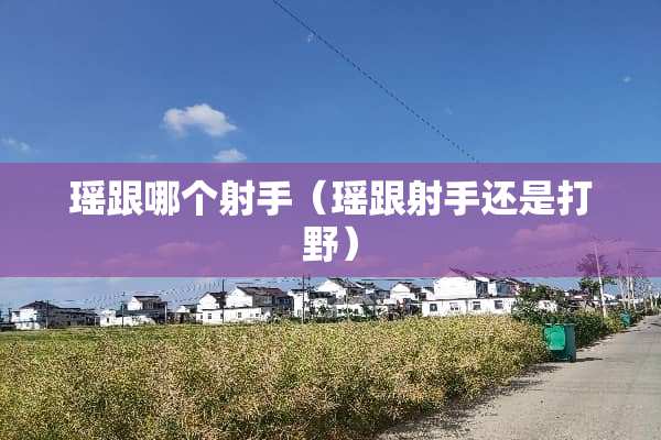 瑶跟哪个射手（瑶跟射手还是打野）