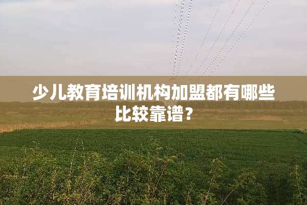 少儿教育培训机构加盟都有哪些比较靠谱？