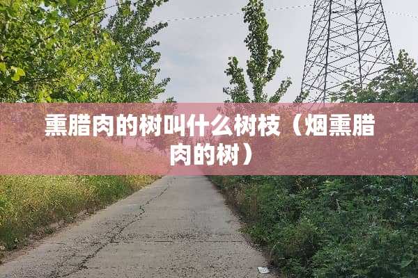 熏腊肉的树叫什么树枝（烟熏腊肉的树）