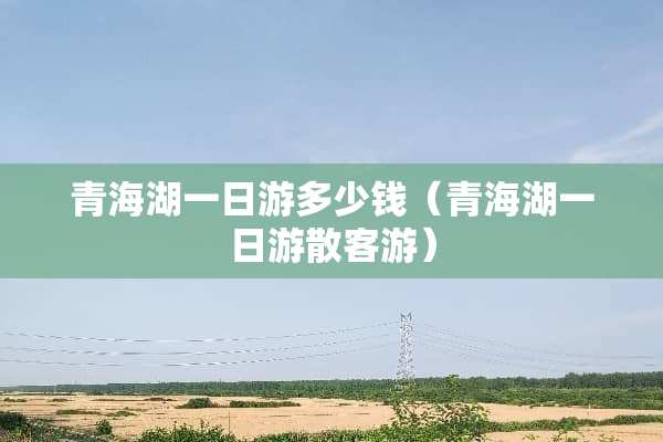 青海湖一日游多少钱（青海湖一日游散客游）