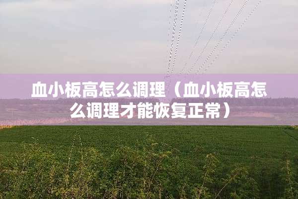 血小板高怎么调理（血小板高怎么调理才能恢复正常）