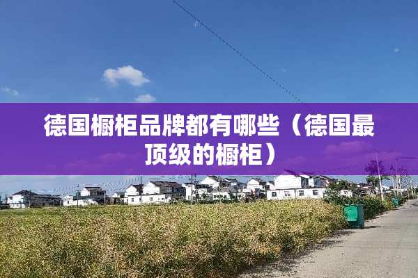 德国橱柜品牌都有哪些（德国最**的橱柜）