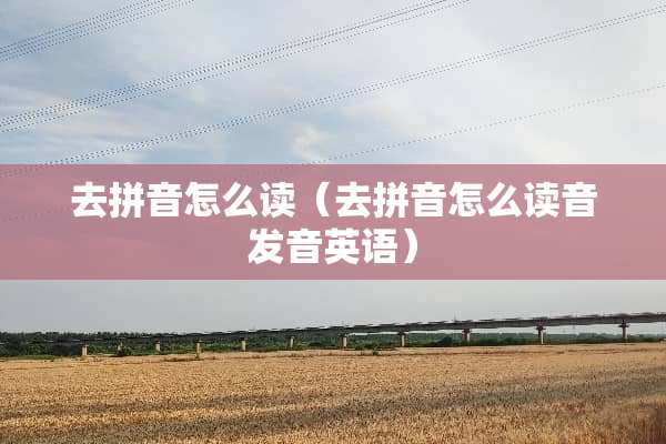 去拼音怎么读（去拼音怎么读音发音英语）