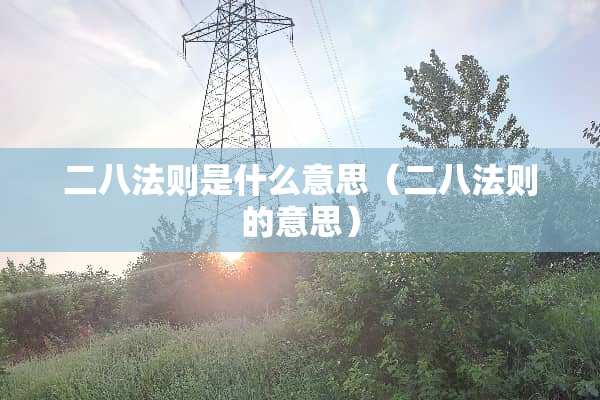 二八法则是什么意思（二八法则的意思）