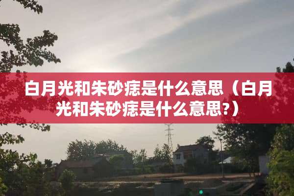 白月光和朱砂痣是什么意思（白月光和朱砂痣是什么意思?）