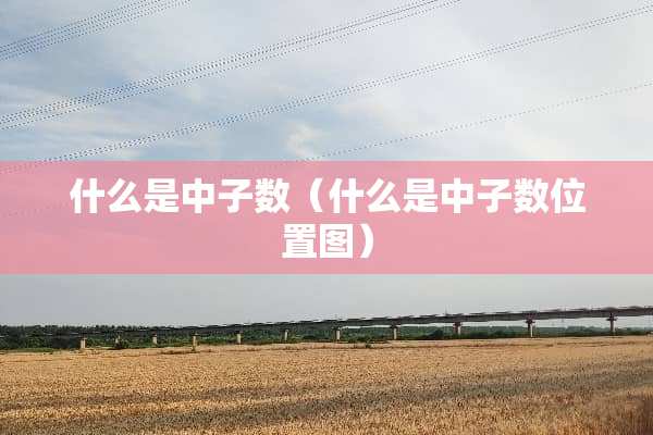 什么是中子数（什么是中子数位置图）