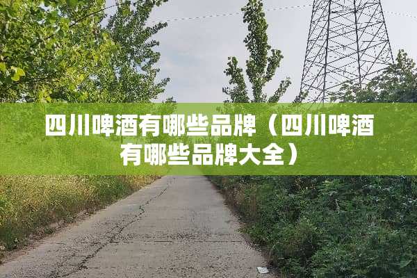 四川啤酒有哪些品牌（四川啤酒有哪些品牌大全）