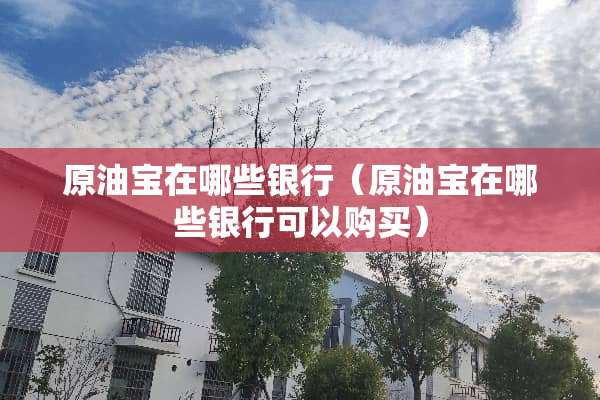 原油宝在哪些银行（原油宝在哪些银行可以购买）