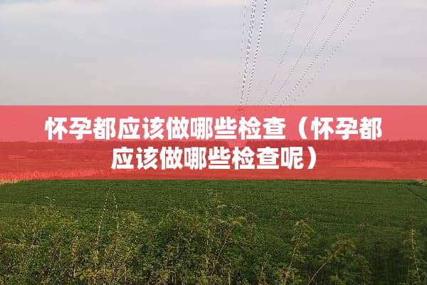 怀孕都应该做哪些检查（怀孕都应该做哪些检查呢）