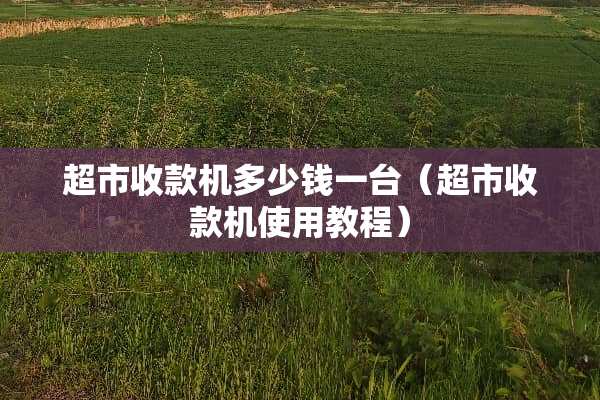 超市收款机多少钱一台（超市收款机使用教程）