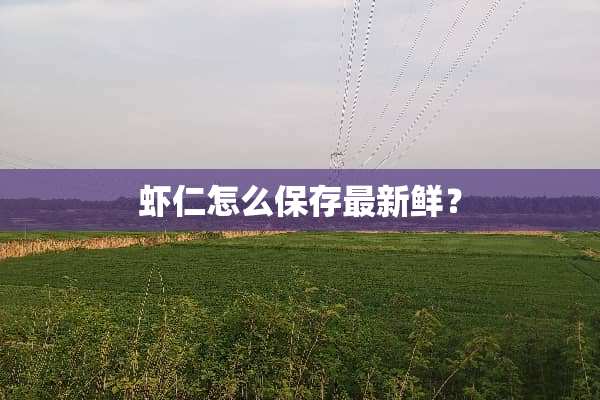 虾仁怎么保存最新鲜？