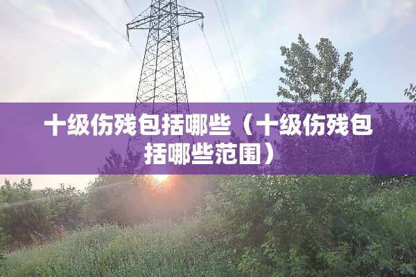十级伤残包括哪些（十级伤残包括哪些范围）