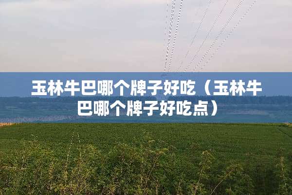 玉林牛巴哪个牌子好吃（玉林牛巴哪个牌子好吃点）