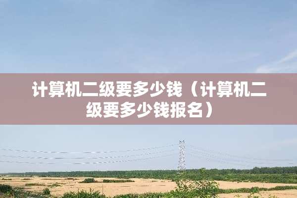 计算机二级要多少钱（计算机二级要多少钱报名）