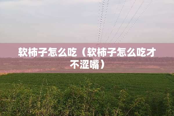 软柿子怎么吃（软柿子怎么吃才不涩嘴）