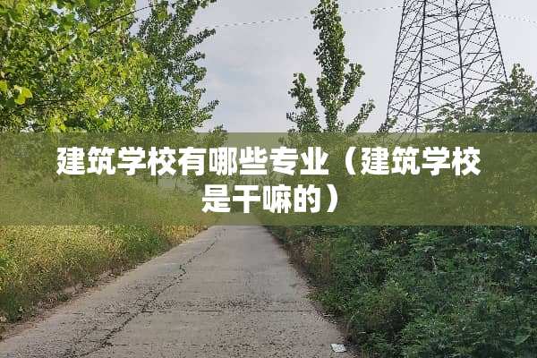 建筑学校有哪些专业（建筑学校是干嘛的）