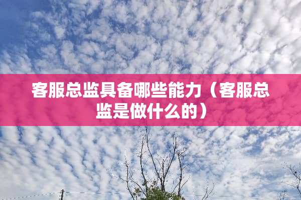 客服总监具备哪些能力（客服总监是做什么的）