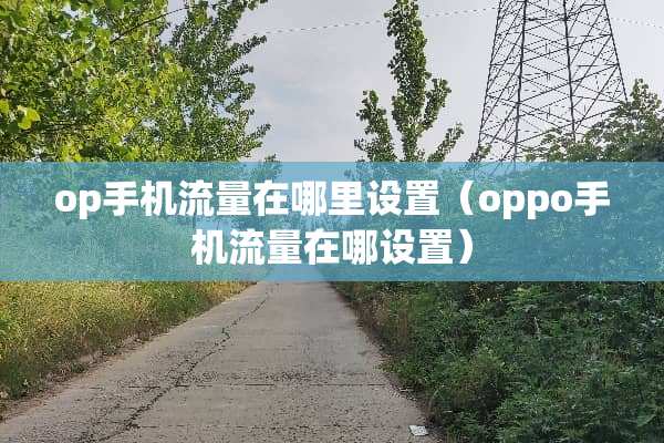 op手机流量在哪里设置（oppo手机流量在哪设置）