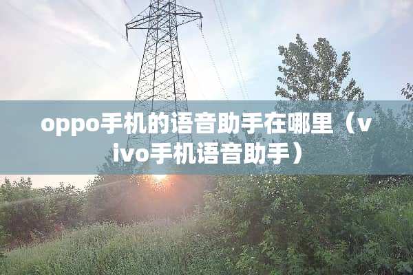 oppo手机的语音助手在哪里（vivo手机语音助手）