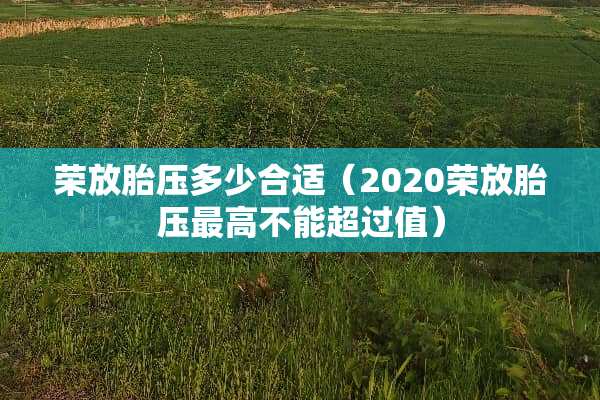 荣放胎压多少合适（2020荣放胎压最高不能超过值）