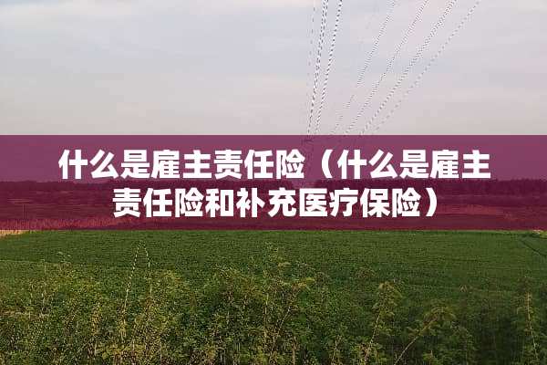 什么是雇主责任险（什么是雇主责任险和补充医疗保险）