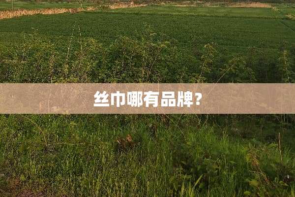 丝巾哪有品牌？