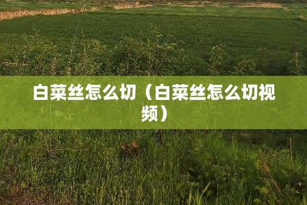 白菜丝怎么切（白菜丝怎么切视频）