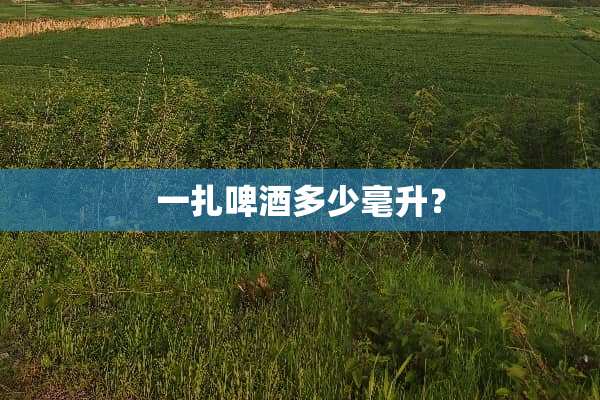 一扎啤酒多少毫升？