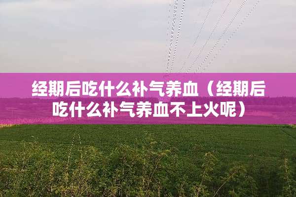 经期后吃什么补气养血（经期后吃什么补气养血不上火呢）