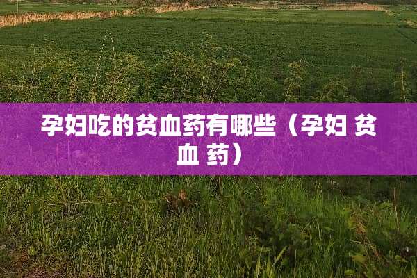 孕妇吃的贫血药有哪些（孕妇 贫血 药）