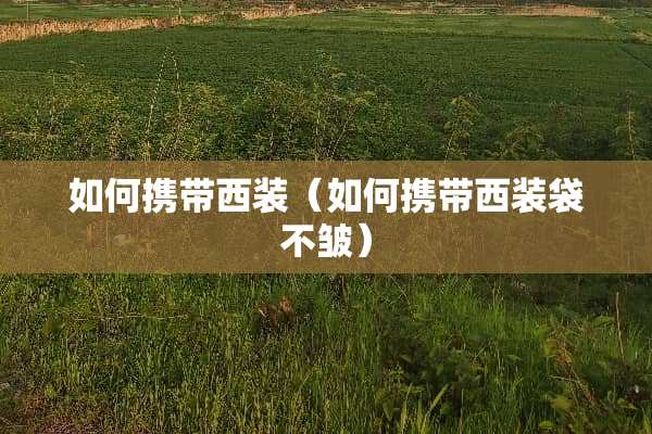 如何携带西装（如何携带西装袋不皱）