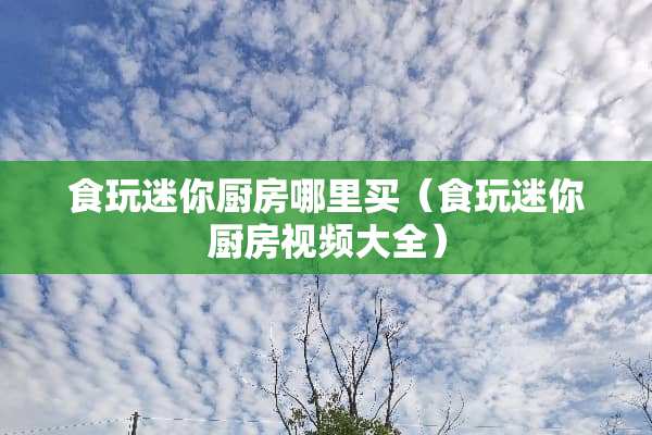 食玩迷你厨房哪里买（食玩迷你厨房视频大全）