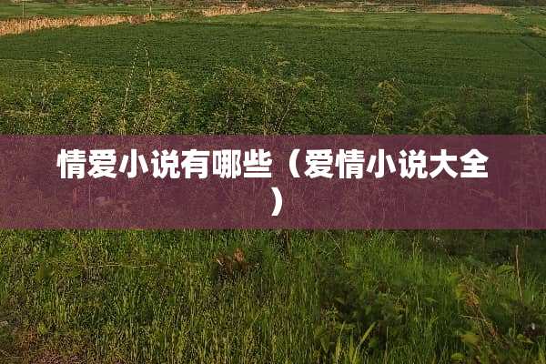 情爱小说有哪些（爱情小说大全）