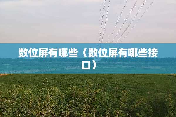 数位屏有哪些（数位屏有哪些接口）