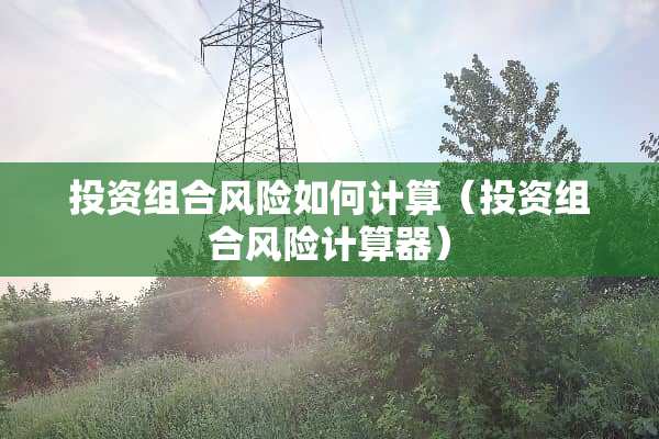 投资组合风险如何计算（投资组合风险计算器）