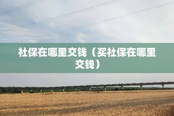 社保在哪里交钱（买社保在哪里交钱）