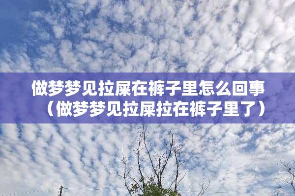 做梦梦见拉屎在裤子里怎么回事（做梦梦见拉屎拉在裤子里了）