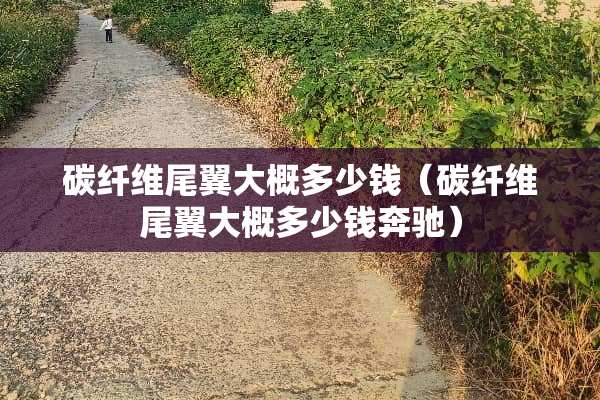 碳纤维尾翼大概多少钱（碳纤维尾翼大概多少钱奔驰）