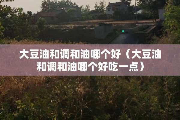 大豆油和调和油哪个好（大豆油和调和油哪个好吃一点）