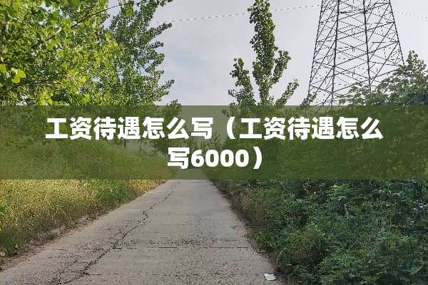 工资待遇怎么写（工资待遇怎么写6000）
