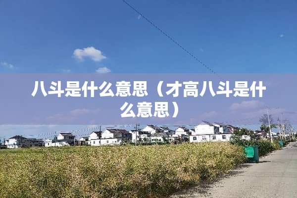 八斗是什么意思（才高八斗是什么意思）