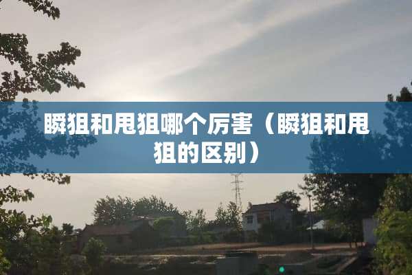 瞬狙和甩狙哪个厉害（瞬狙和甩狙的区别）