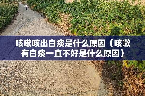 咳嗽咳出白痰是什么原因（咳嗽有白痰一直不好是什么原因）
