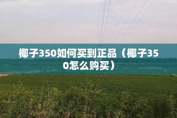 椰子350如何买到正品（椰子350怎么购买）