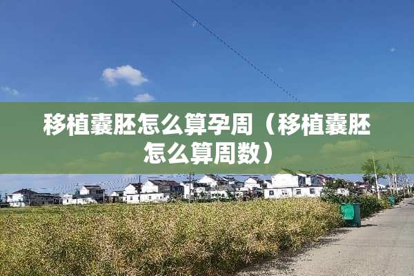 移植囊胚怎么算孕周（移植囊胚怎么算周数）