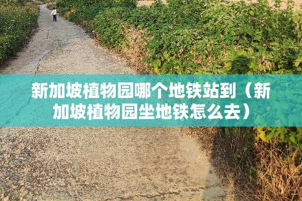 新加坡植物园哪个地铁站到（新加坡植物园坐地铁怎么去）