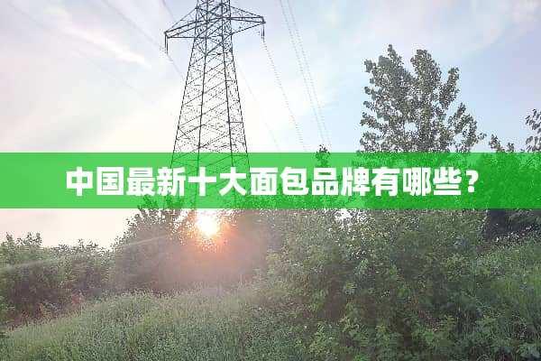 中国最新十大面包品牌有哪些？