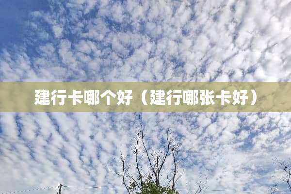 建行卡哪个好（建行哪张卡好）