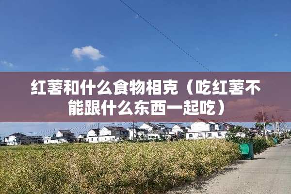 红薯和什么食物相克（吃红薯不能跟什么东西一起吃）