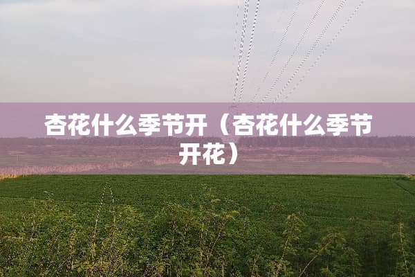 杏花什么季节开（杏花什么季节开花）